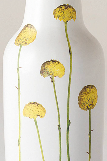 Botanic Vase - Billy Buttons