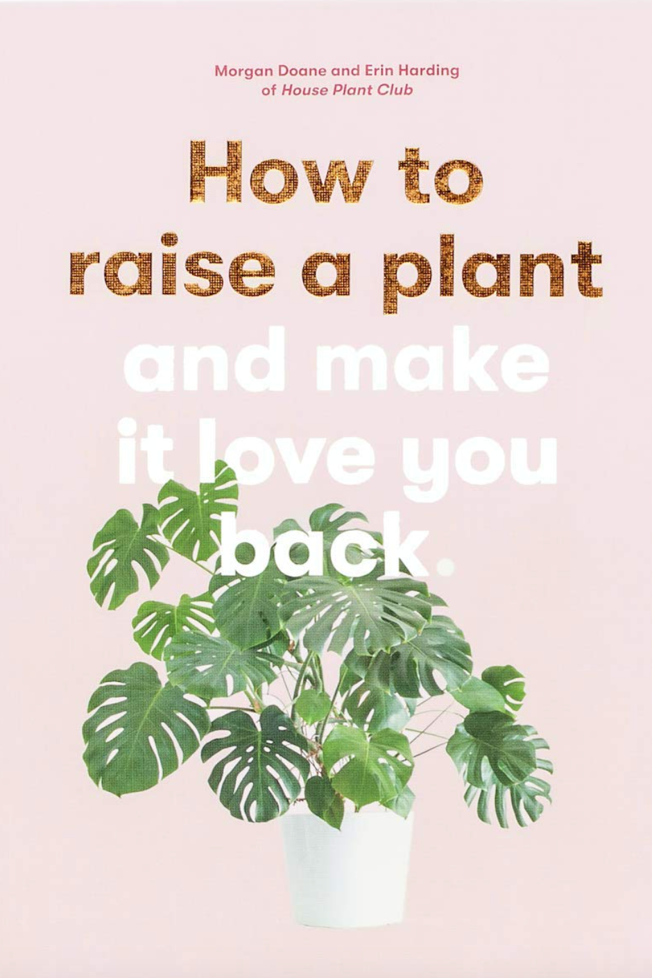 How to Raise a Plant: And Make It Love You Back