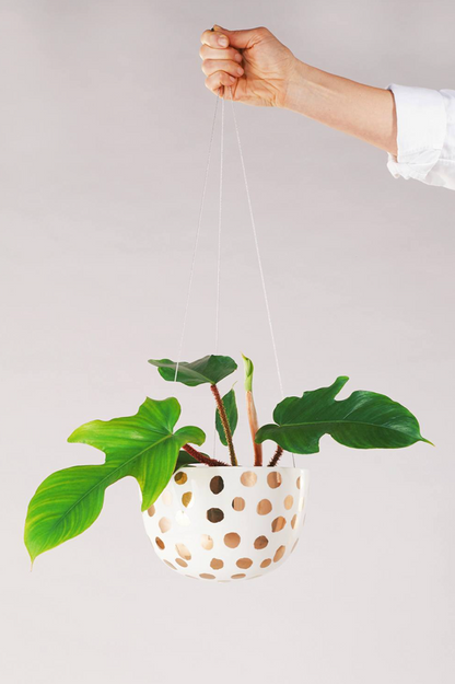 Hanging Planter -Gold Spot