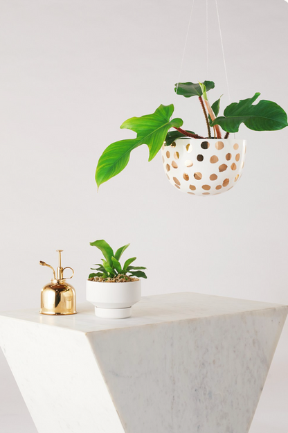 Hanging Planter -Gold Spot