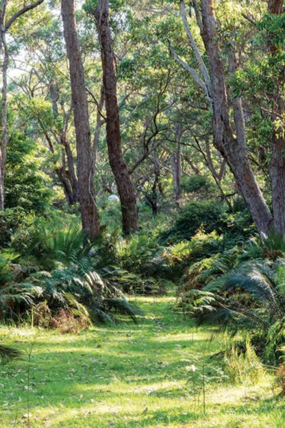 An Australian Garden