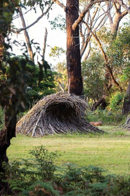 An Australian Garden